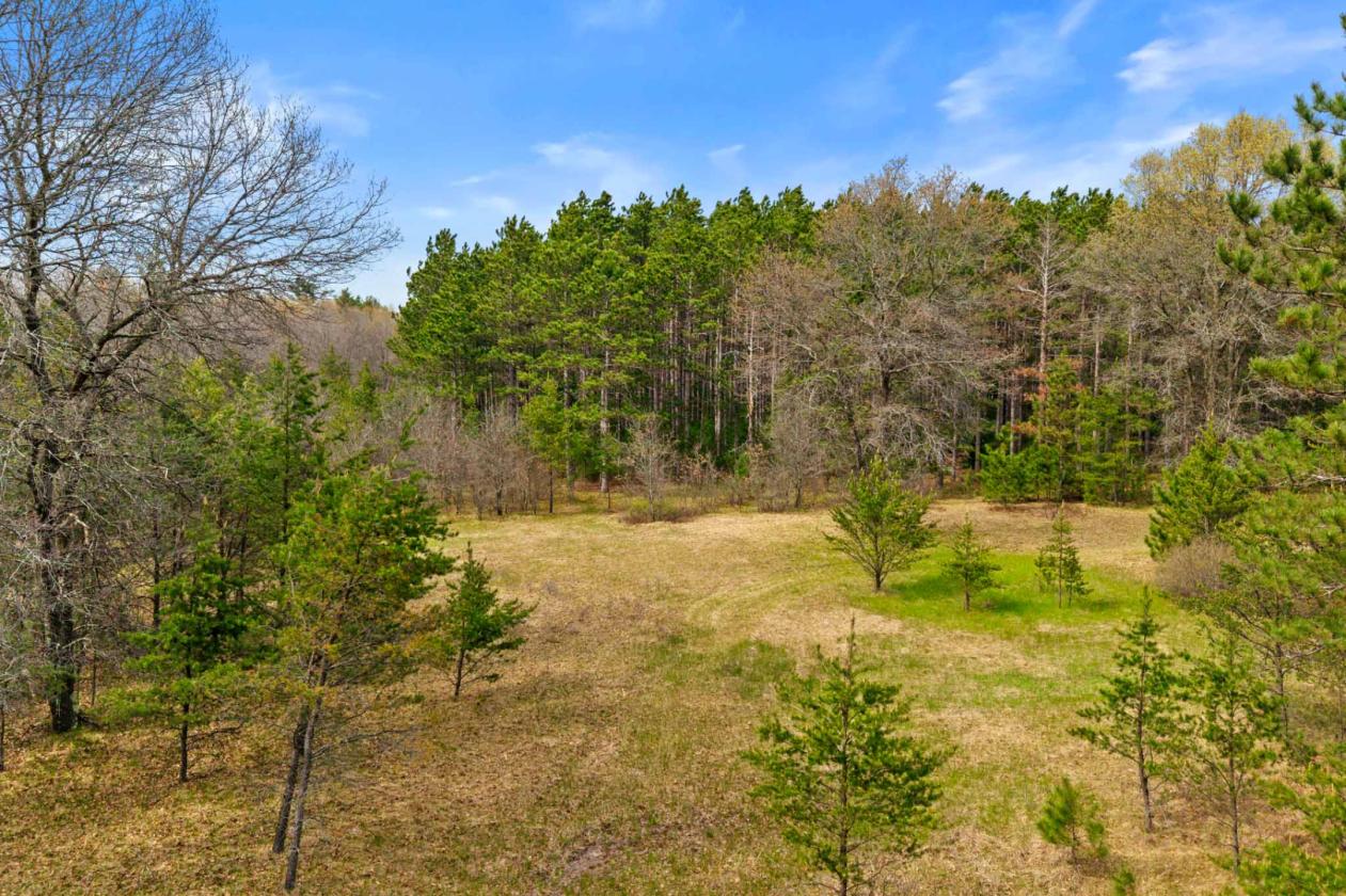 Classic log home on 23 gorgeous wooded acres! - photo 28