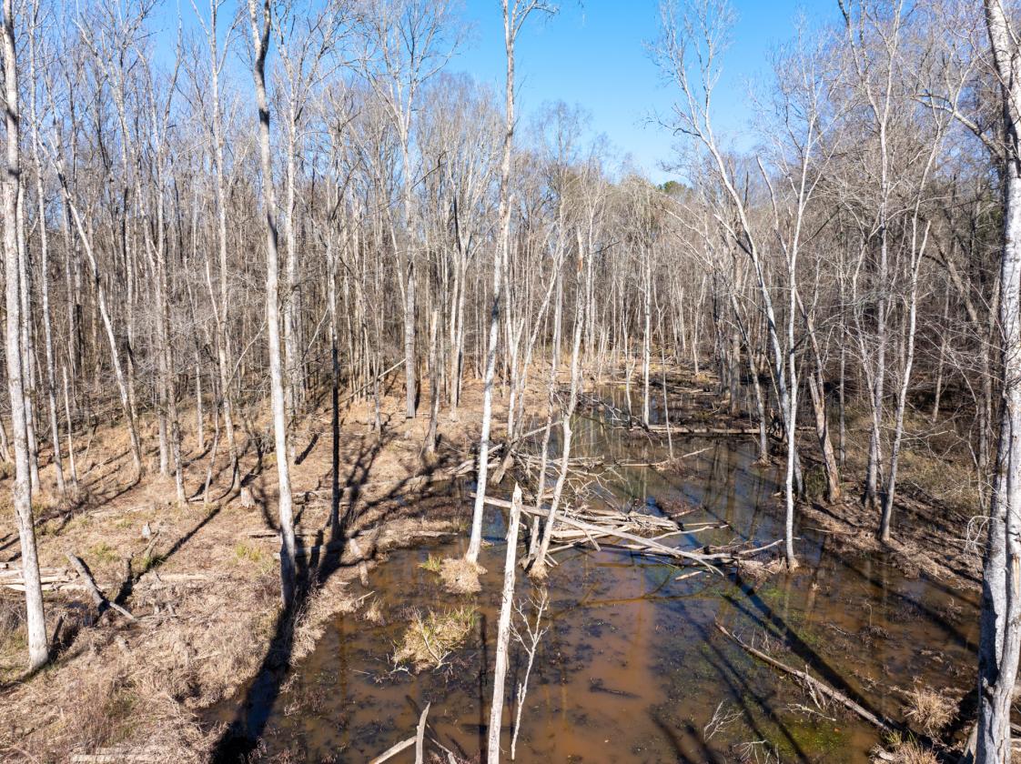211 Acres- Luxury Estate & Equestrian Development - photo 6