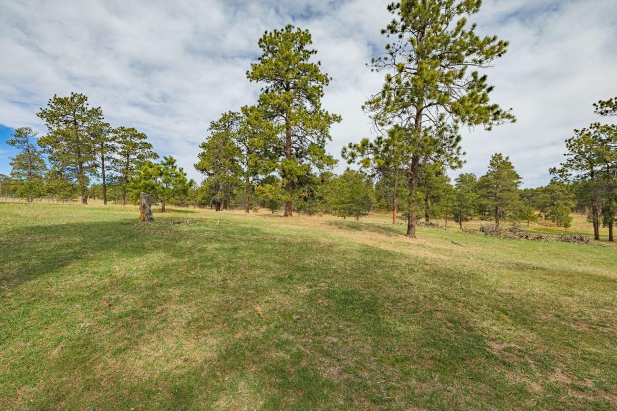 Historic Pine Run Ranch in Black Forest on 60AC - photo 22