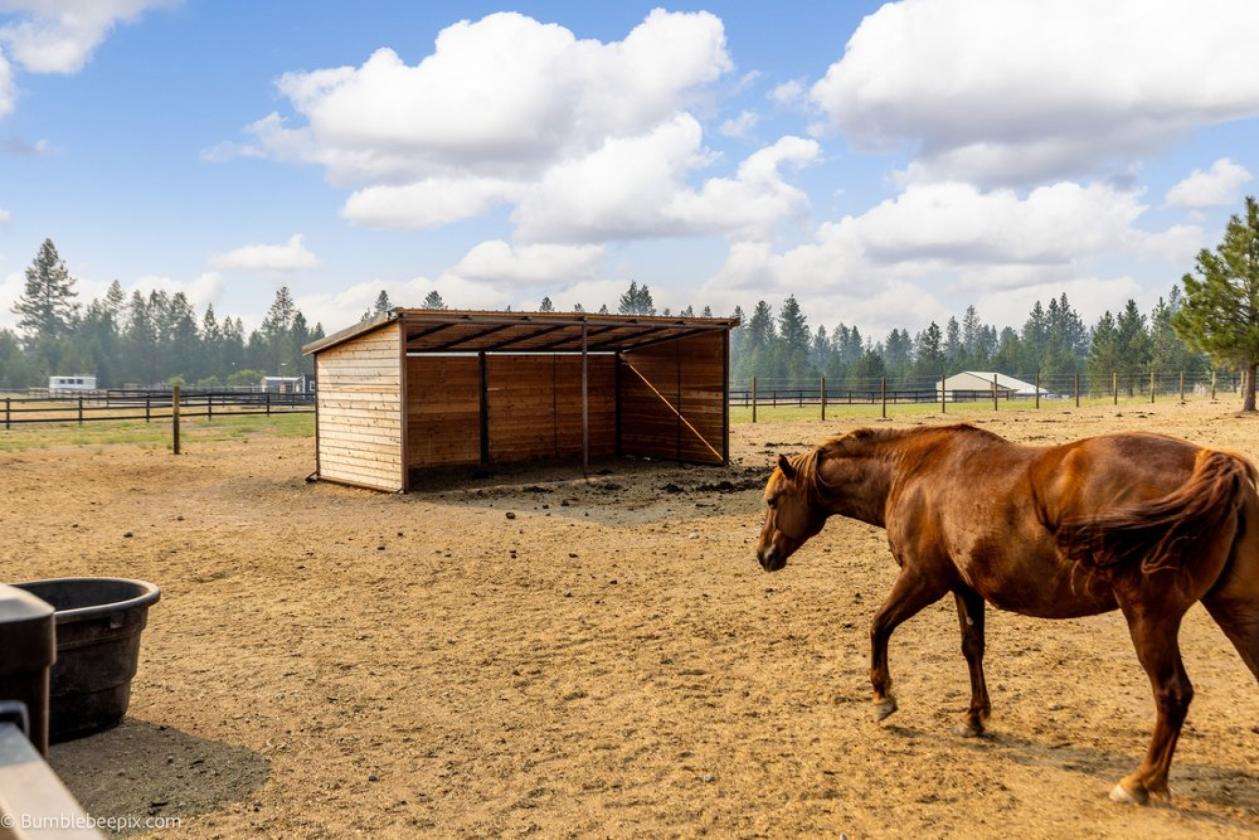 Income Producing 10 Acre Equestrian Facility - photo 4