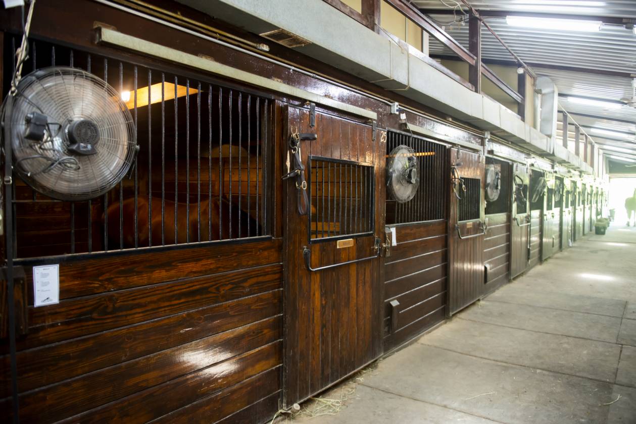 Exceptional 15-Acre Equestrian Facility! - photo 3