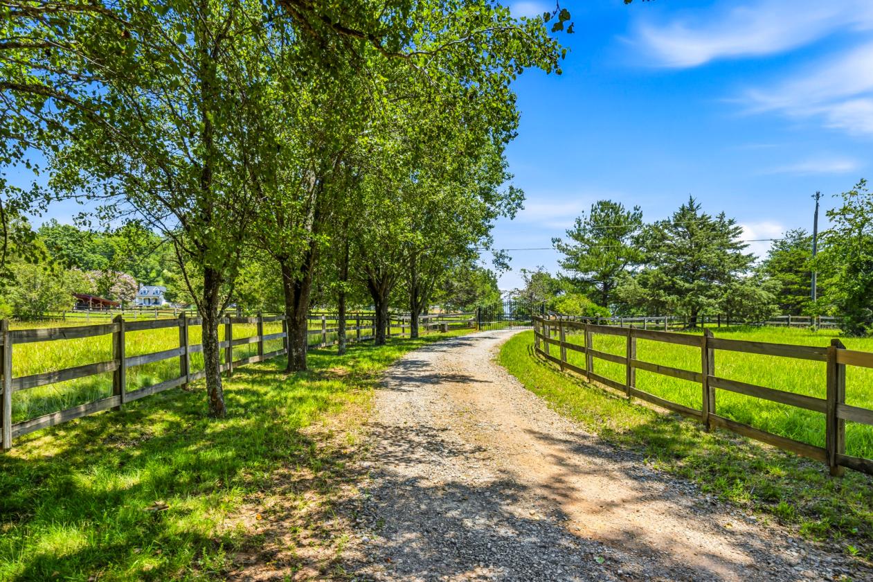Equestrian estate with 40 acres - photo 9