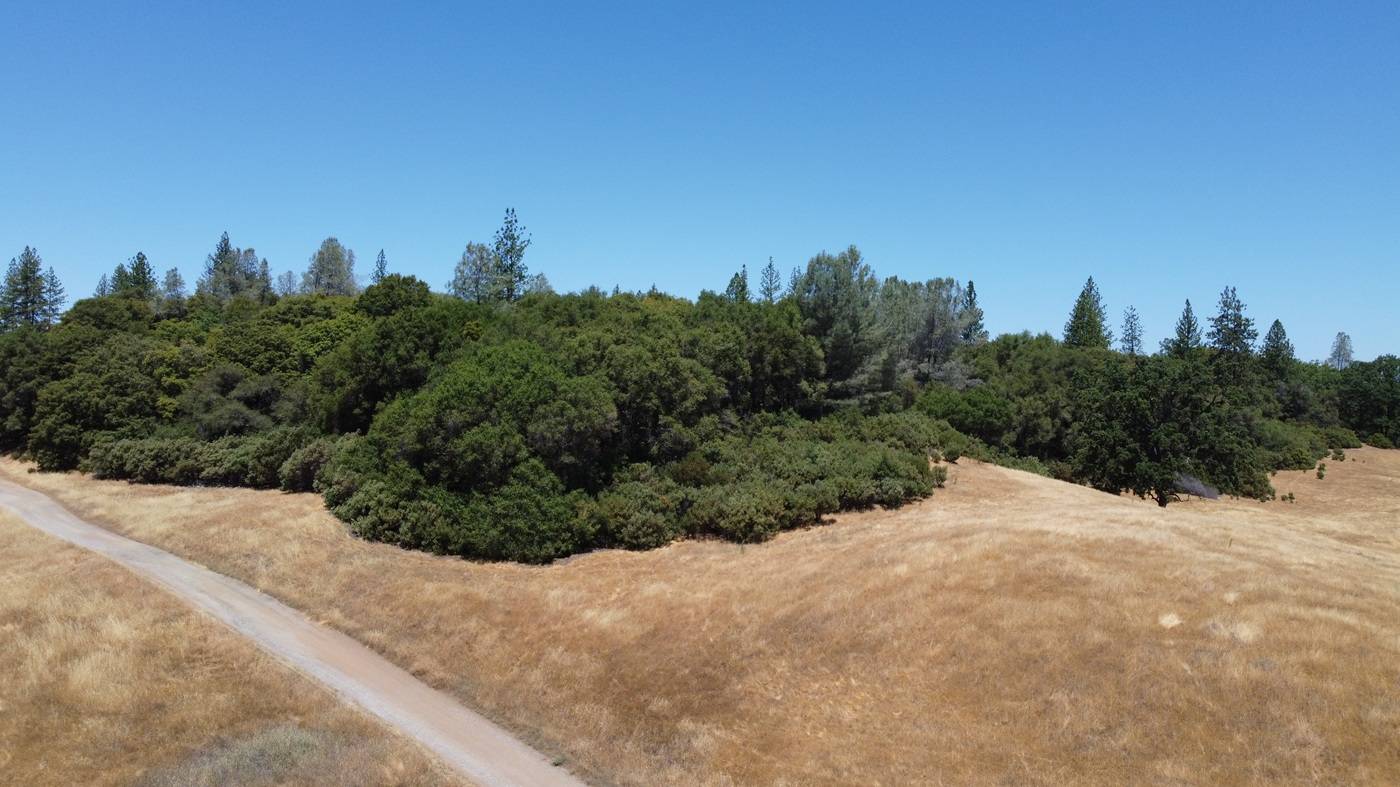 Beautiful Rolling 165 Acres, 100GPM Well too! - photo 13