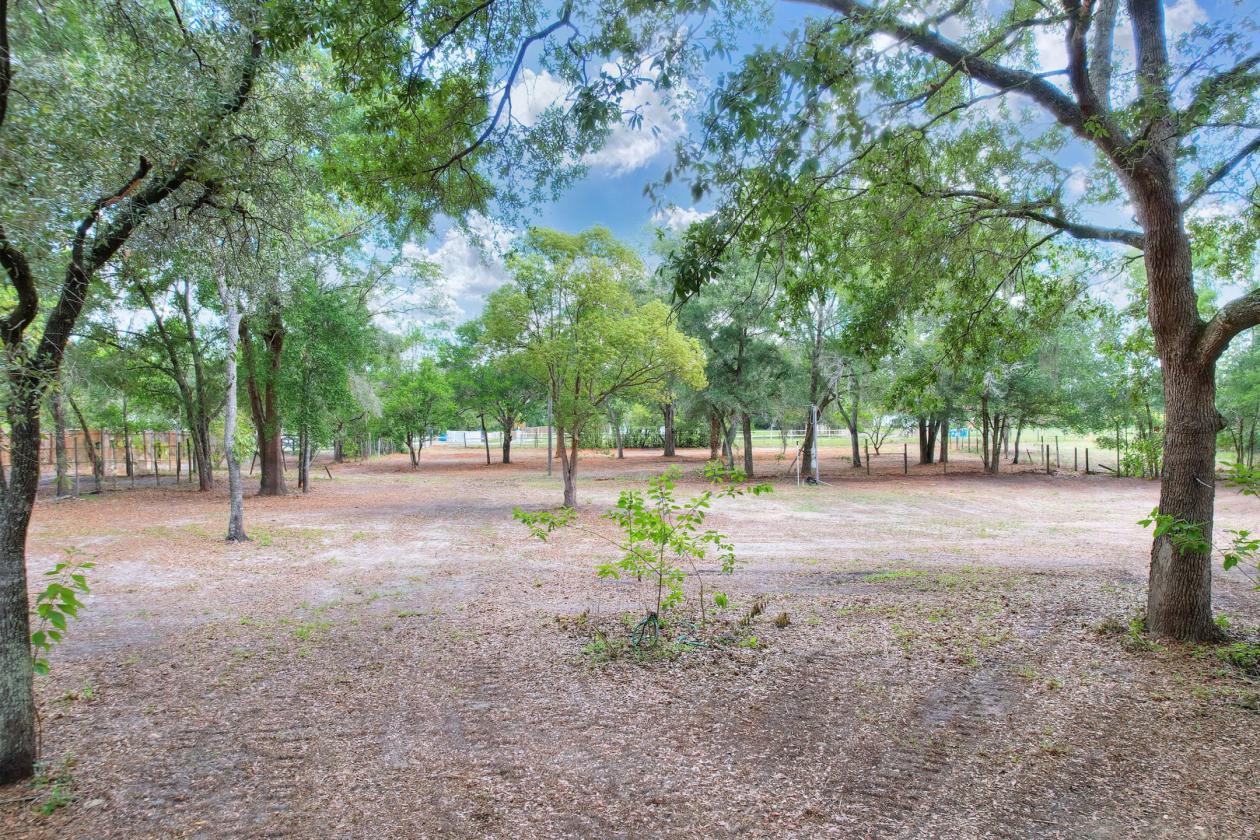 14.5 ACRES • NOW AR ZONED • HORSES/RVS • NO HOA! - photo 5