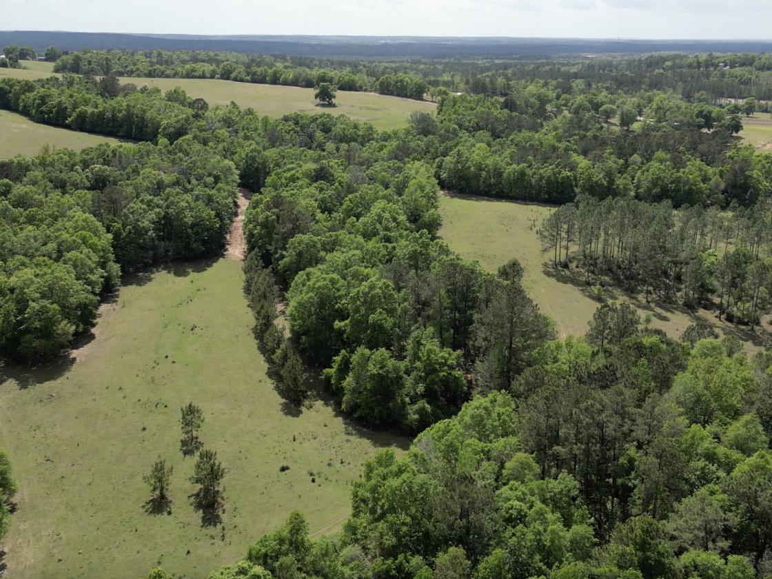 320 prime acres on HIckory Hill, Washington County - photo 17