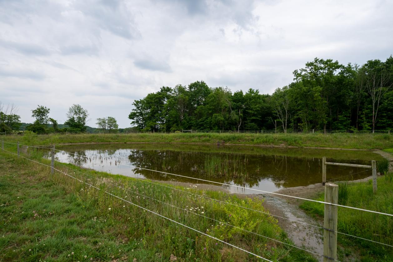 40 Stalls. 103 Acres. One Chance. Serenity Equine - photo 28