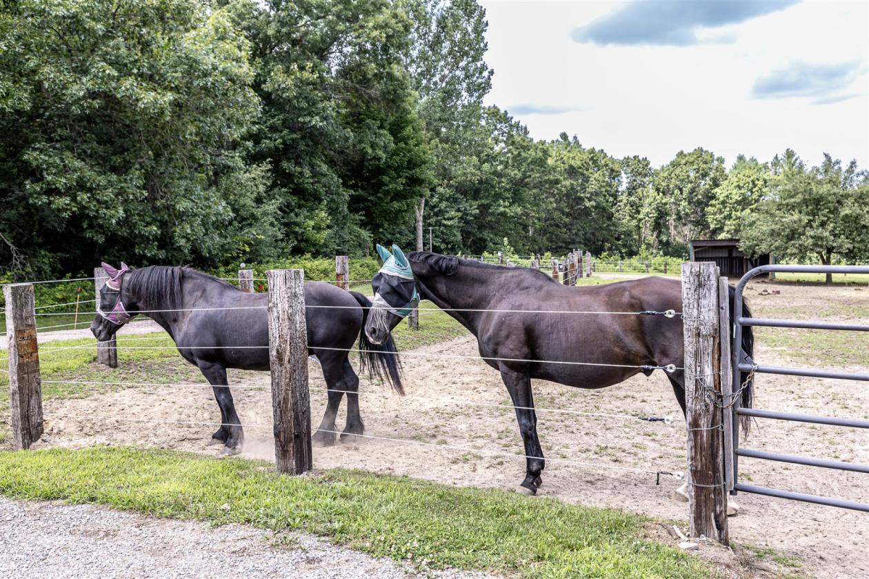 Western Wisconsin Equestrian Property - photo 11