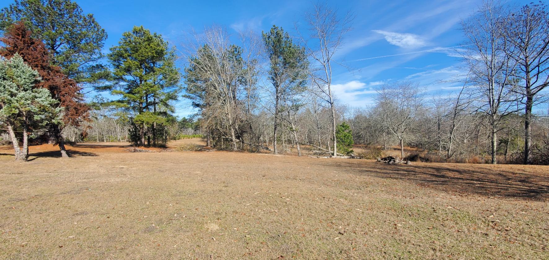88.95 acres and 3 homes on this secluded property! - photo 25