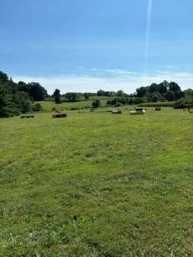 Property image.