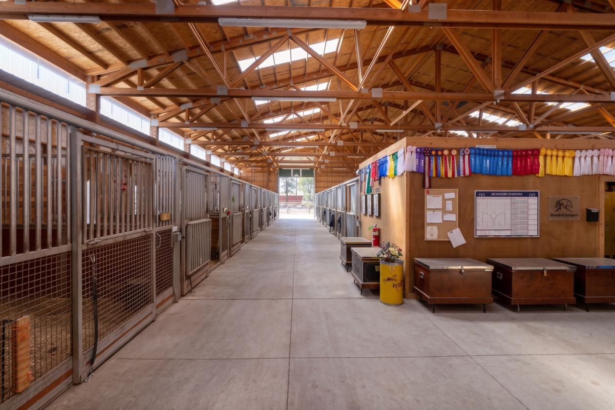Commercial Horse Training Facility - photo 19
