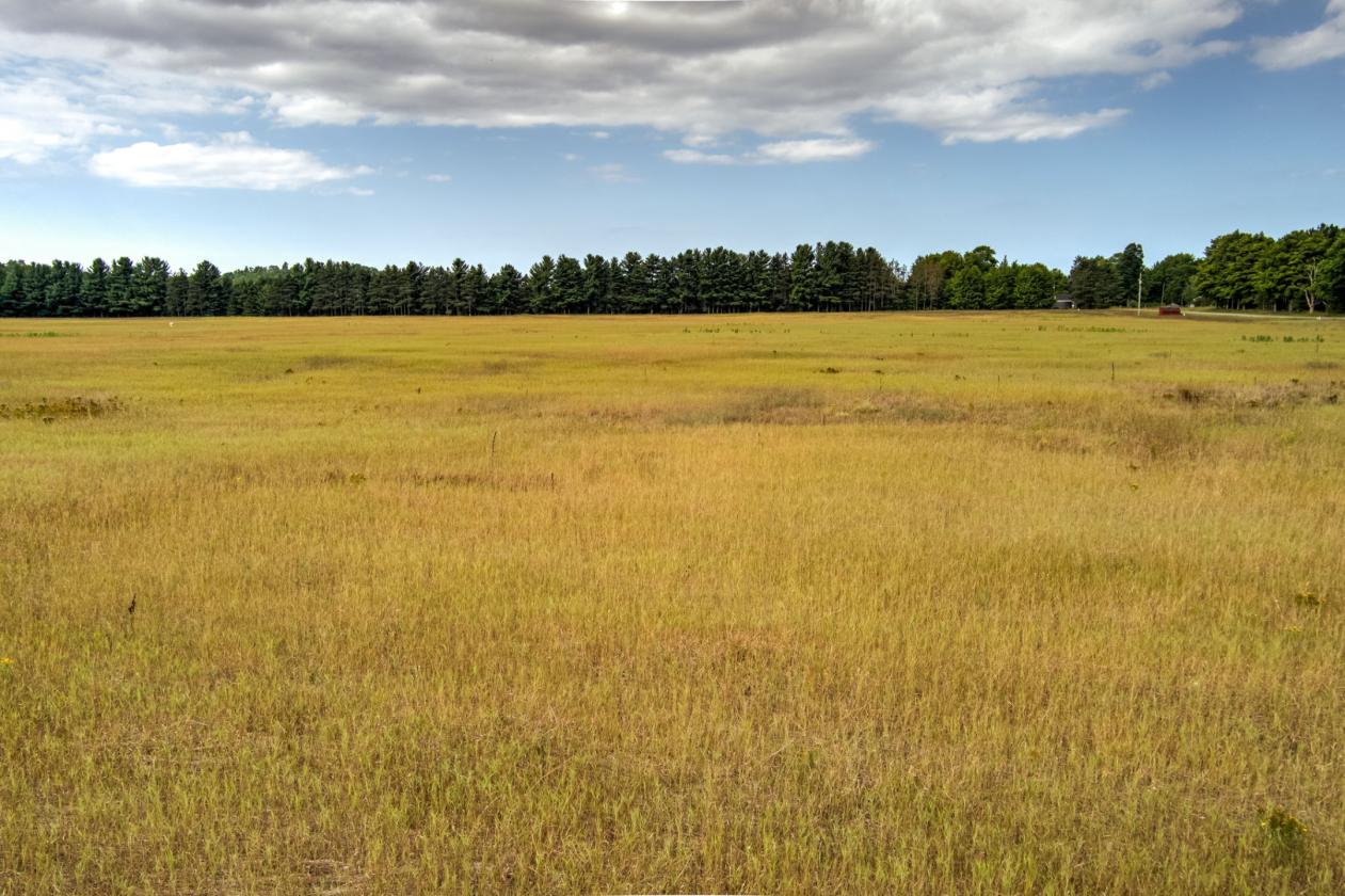 50.20 ACRES – BUILD YOUR EQUESTRIAN ESTATE & FARM - photo 6