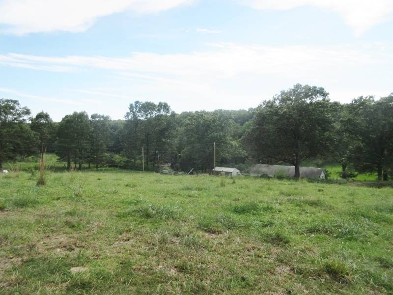 Horse property with Mark Twain National Forest on Two Borders Squires