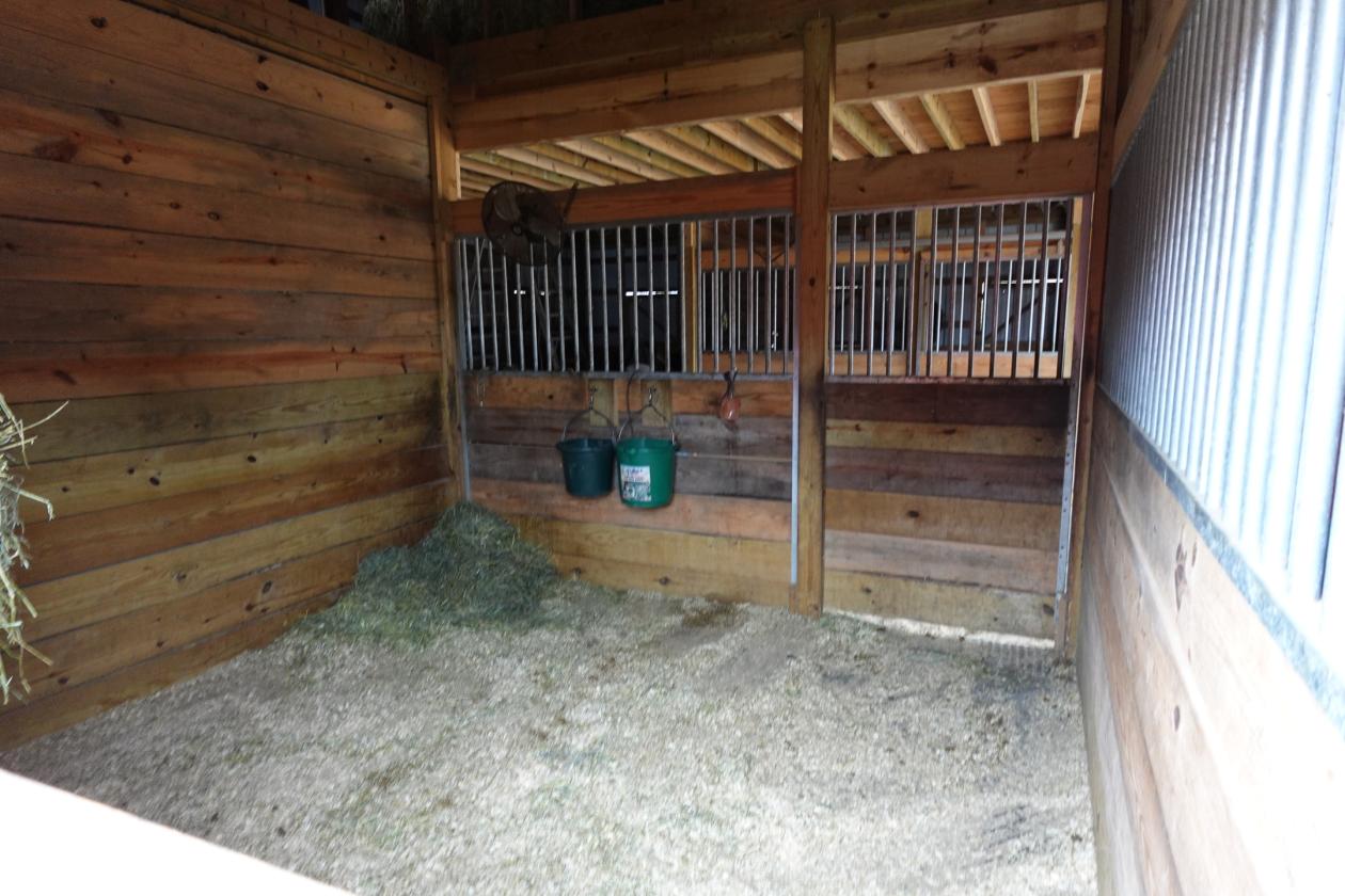 1845 Farmhouse & Exceptional Equestrian Amenities - photo 7