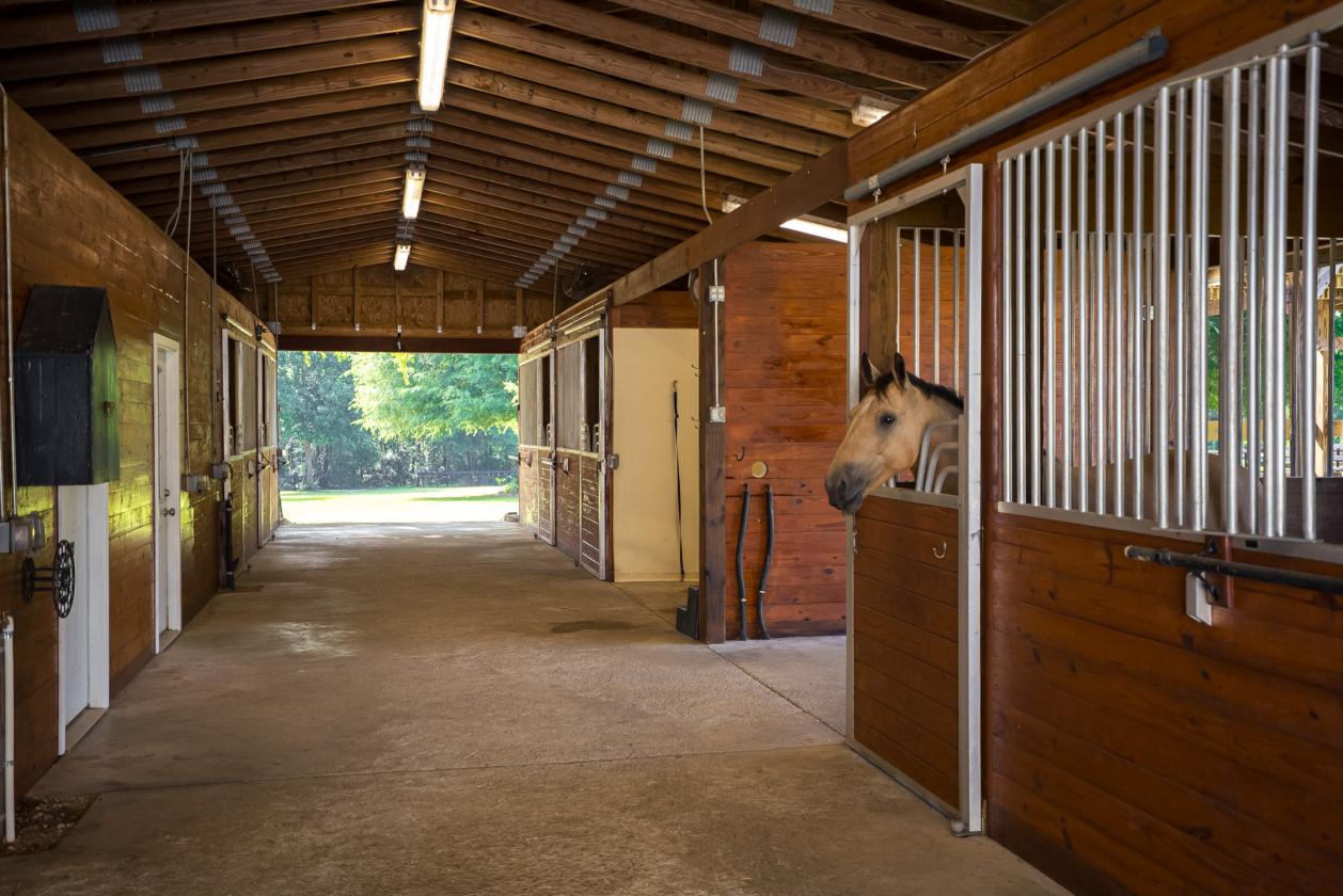 Oak Haven Farm - 302 Equestrian Corridor - photo 14