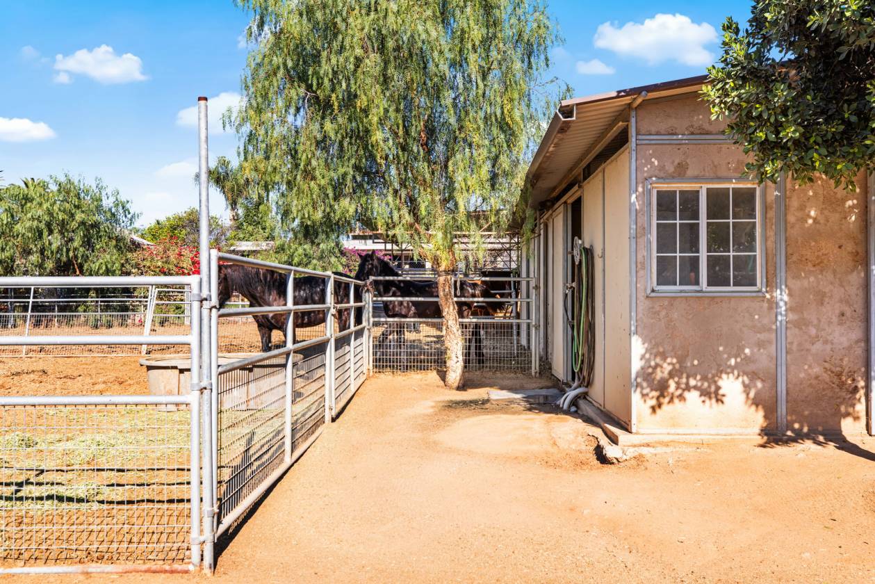 Horse Ranch w/ Arena, Barns, & RV Hookups - photo 22