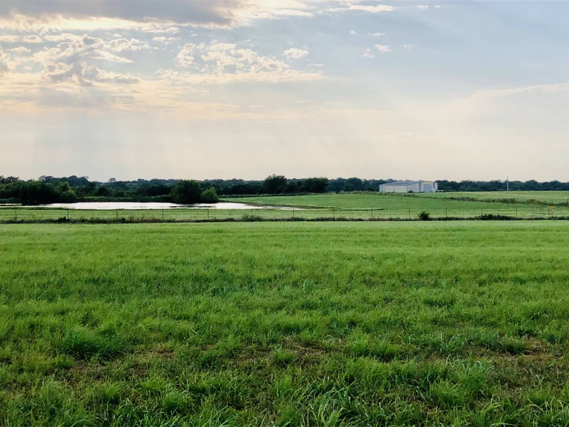 Horse Property for sale.