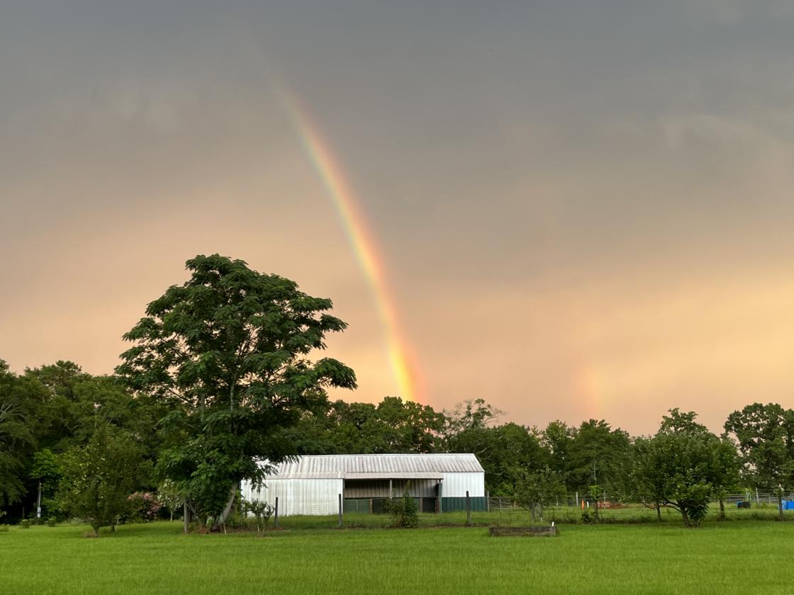 Claddagh Farm: 70+ acre horse farm - photo 9