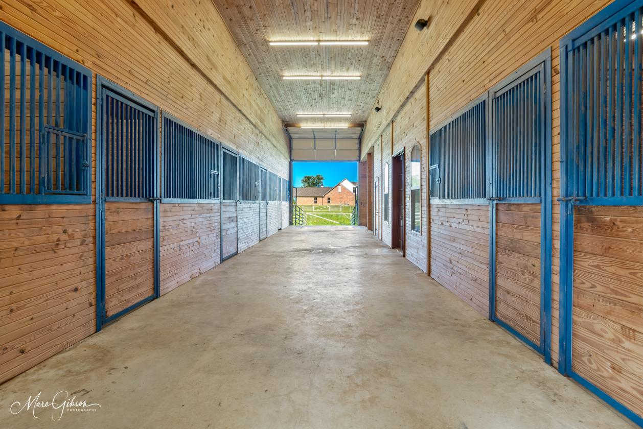 Fully Renovated Luxury Equestrian Estate - photo 22