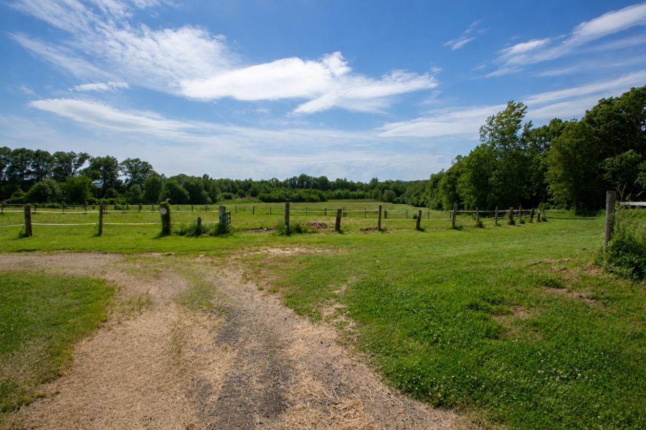 Turnkey Horse Farm on 59 Acres - photo 17