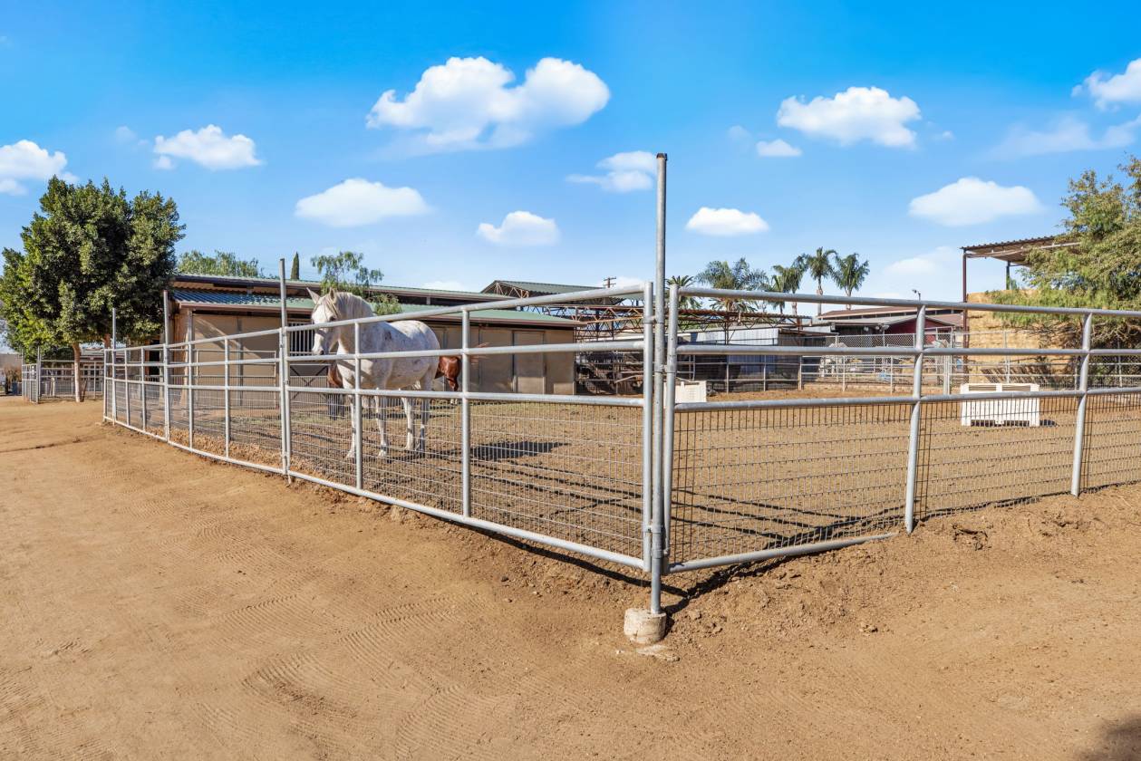 Horse Ranch w/ Arena, Barns, & RV Hookups - photo 27