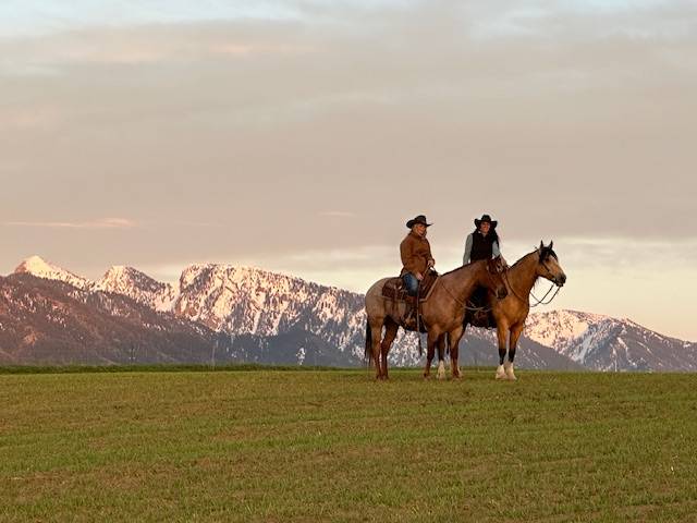 Horse Property for sale.