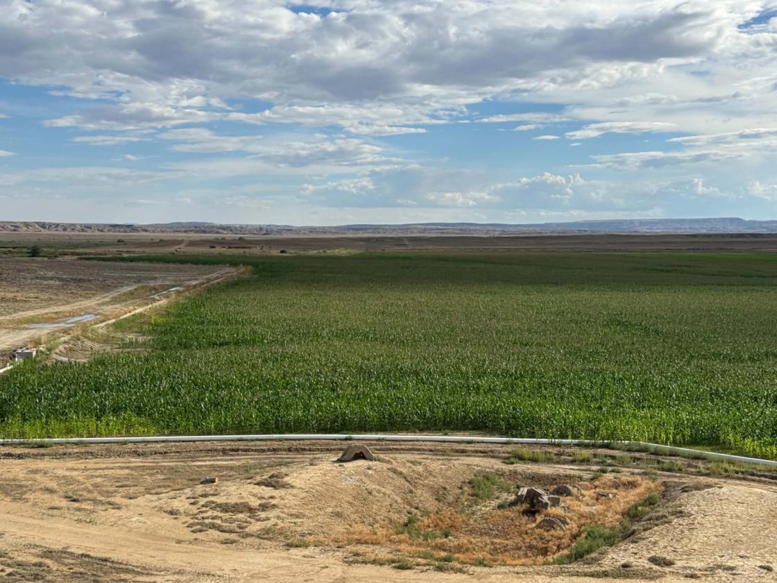 Discover 67± acres of Versatile Land - photo 6