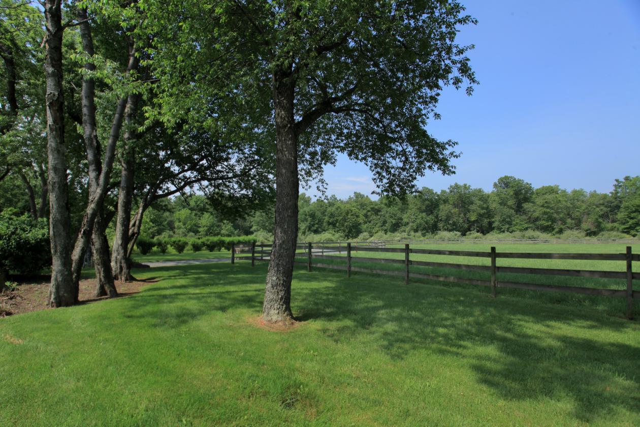 Rent this exceptional equestrian estate.... - photo 4