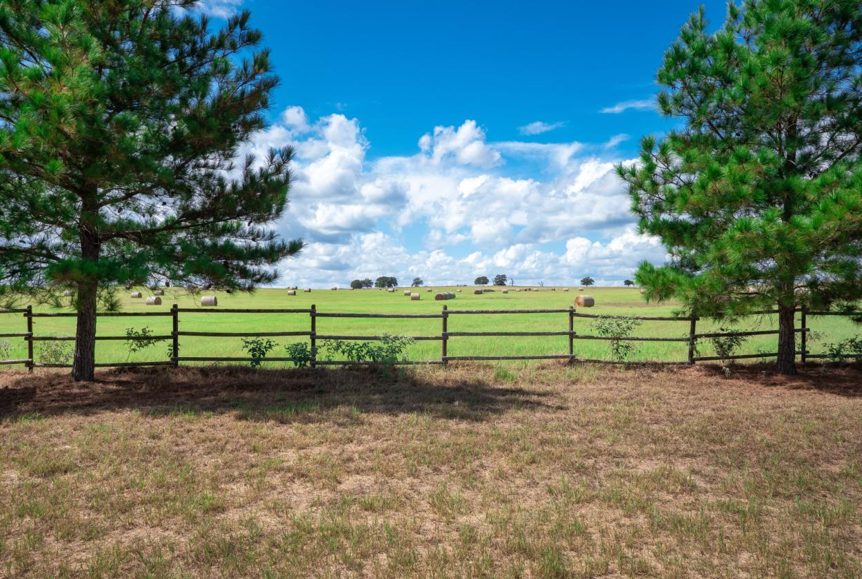 One-of-a-Kind Country Estate on 30 Acres - photo 25