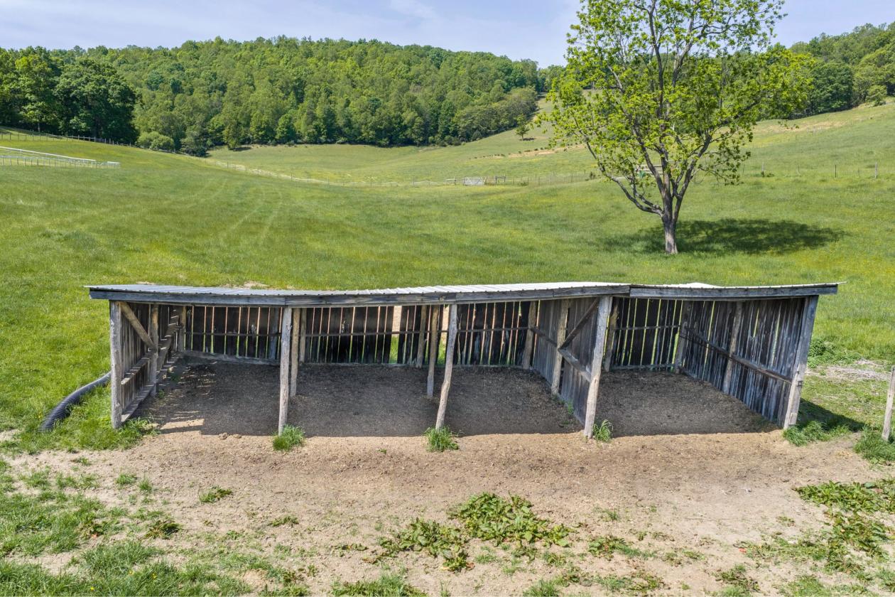 Beautiful Horse Property on 16.13 Acres - photo 7