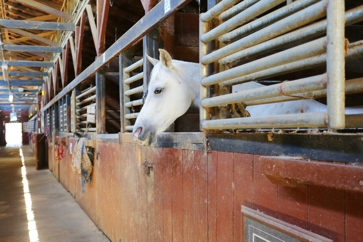 Silver Spur Stables Glendale, Los Angeles County, California