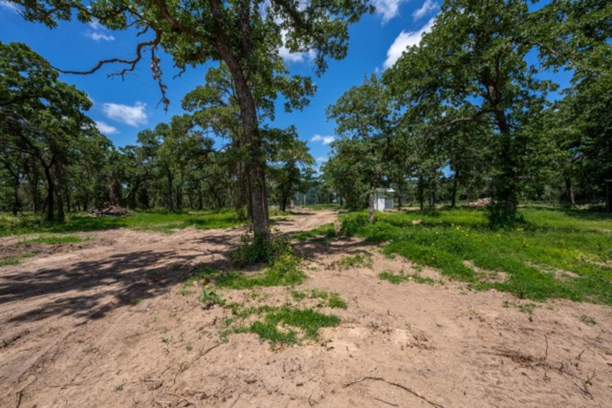 Agriculture Exempt Acreage Build your dream home! - photo 3