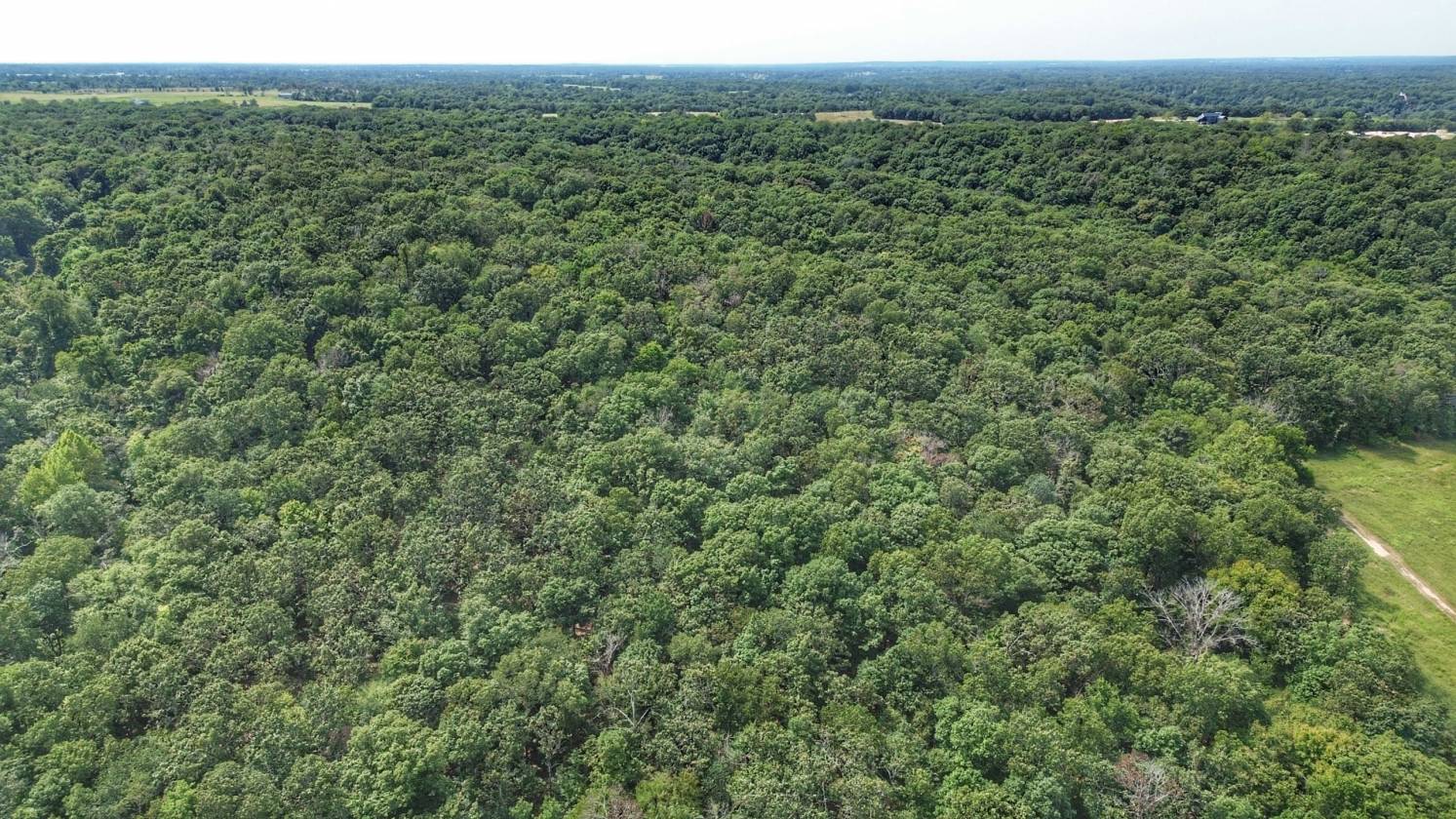 Legacy Northwest Arkansas Acreage - photo 8