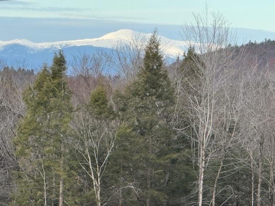 Fabulous Mountain Views, 33 Acres, and Barn! - photo 2