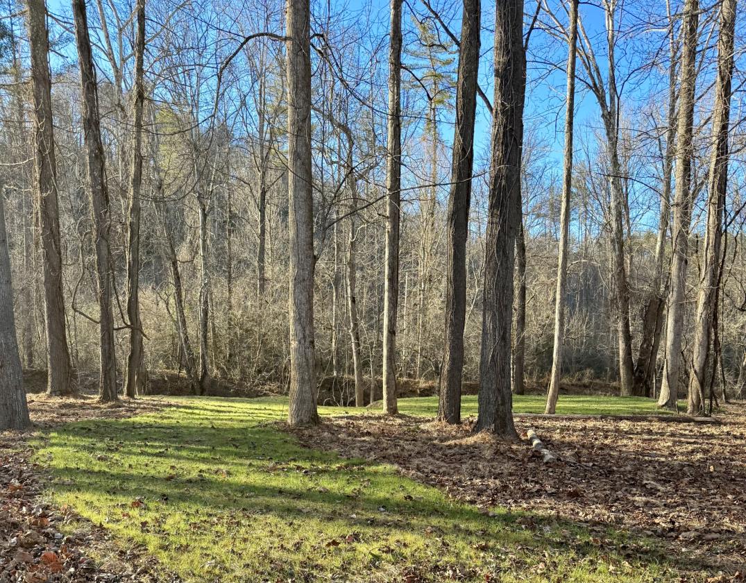 Riverfront- 12 ac at The Coves Mtn RIver Club - photo 15
