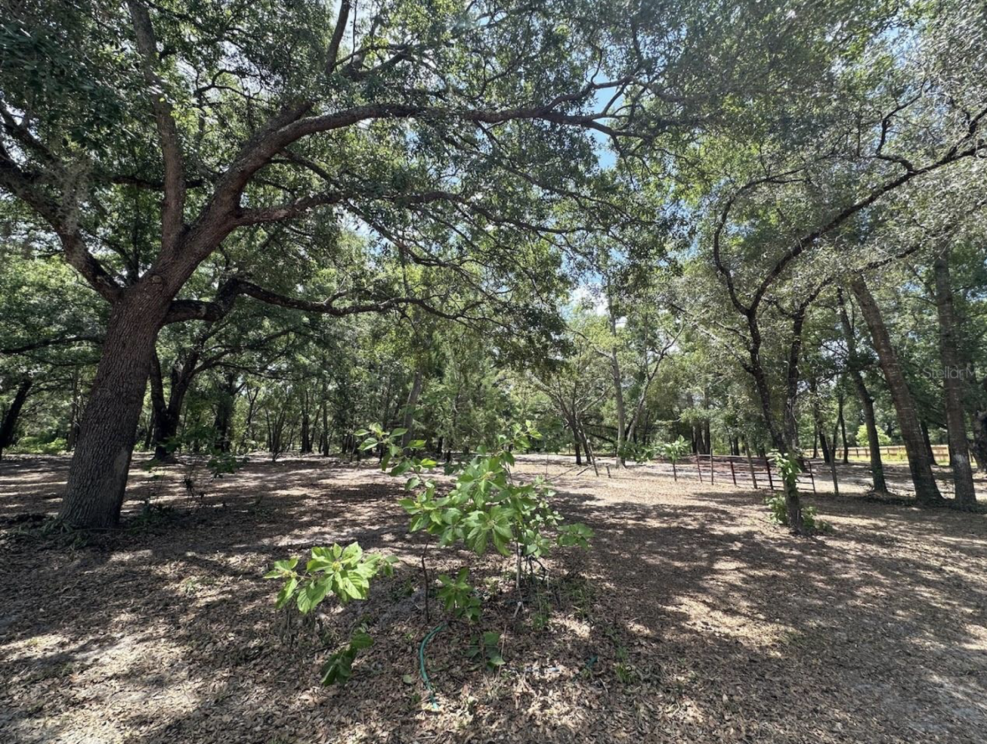 14.5 ACRES • NOW AR ZONED • HORSES/RVS • NO HOA! - photo 17