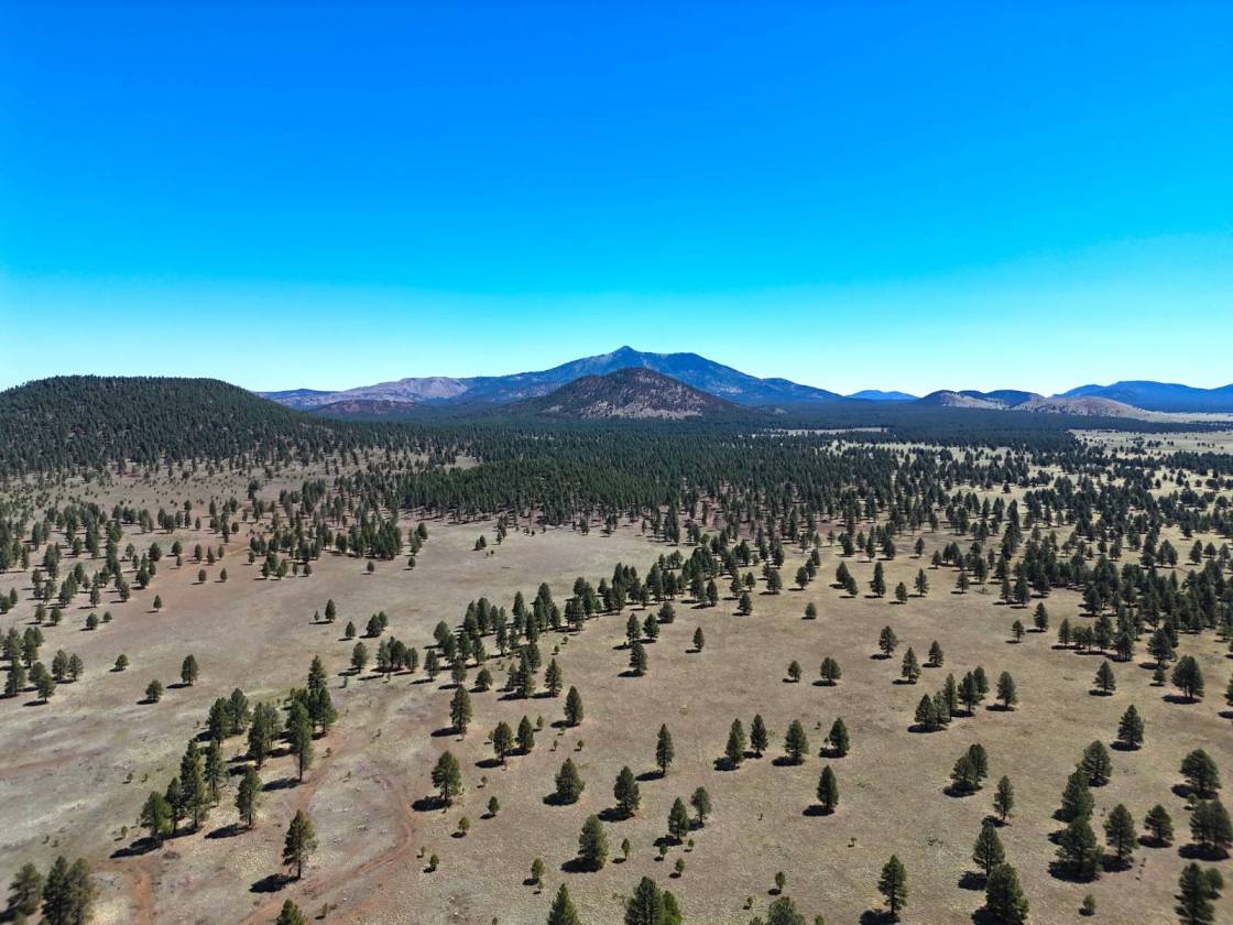 Horse Property for sale.