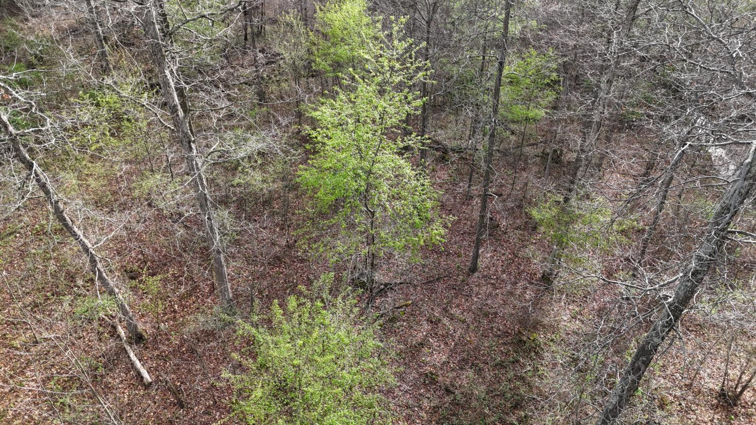 Excellent Acreage For Future Equestrian Property - photo 12