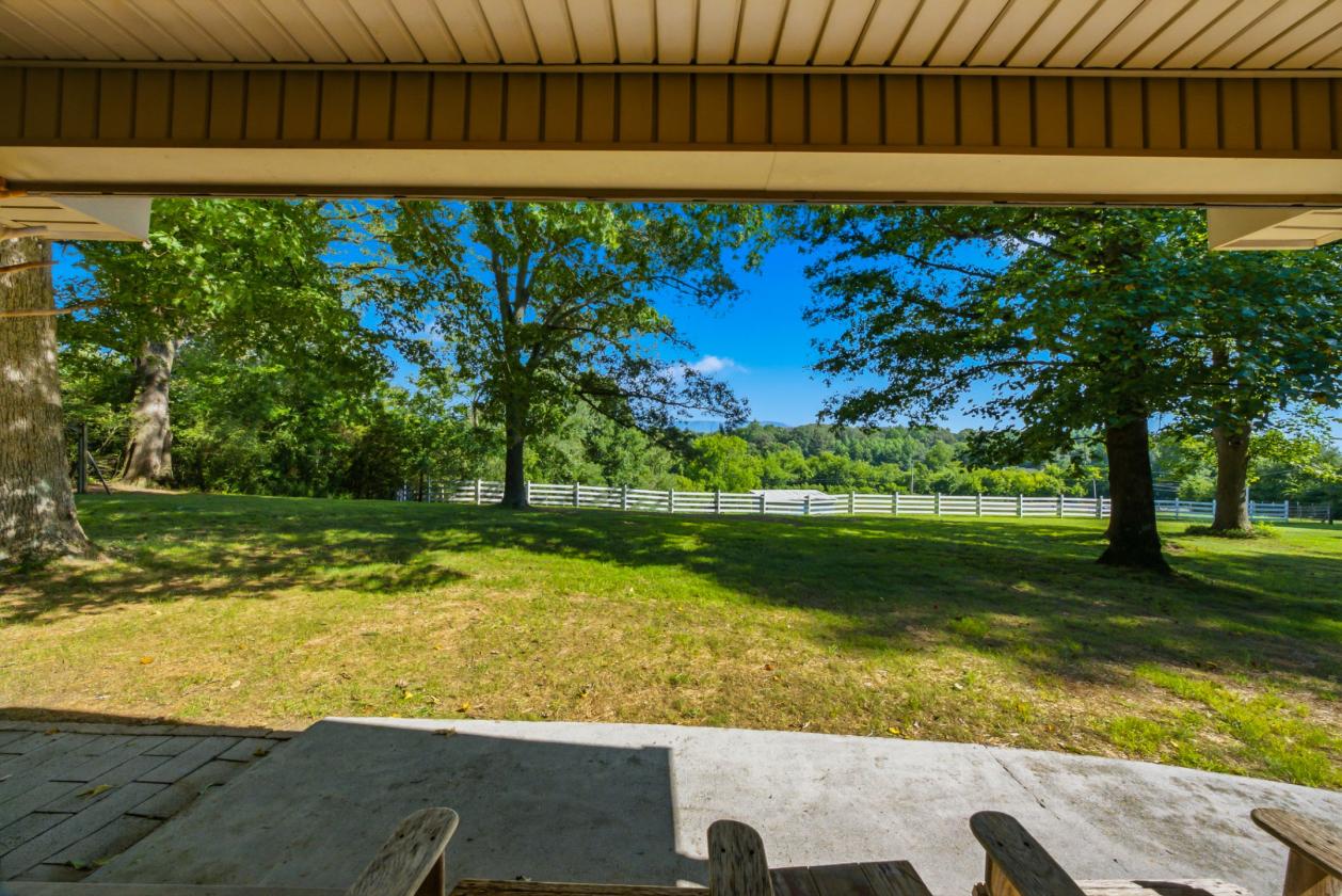 Horse property with mountain views! - photo 6