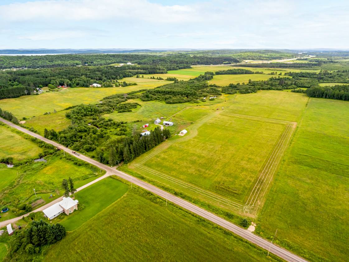 Horse Property for sale.