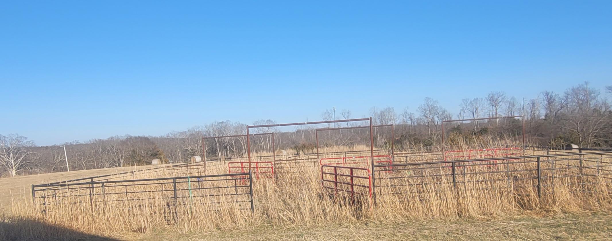Investment opportunity/Equestrian Facility - photo 21