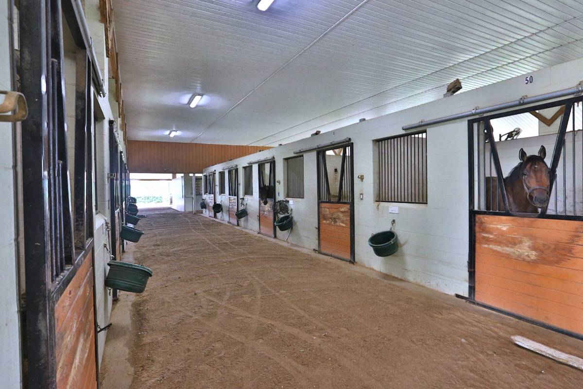 Premier Equestrian Facility - photo 13