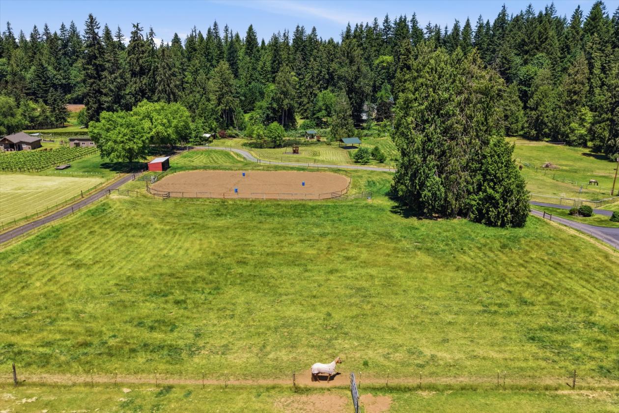 Gorgeous (dividable) 10 acre property with arena! - photo 29