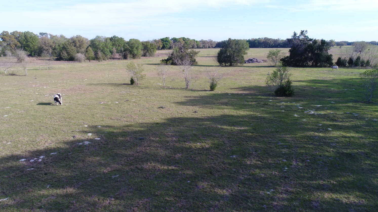 Horse Farm for sale Chiefland, Levy County, Florida