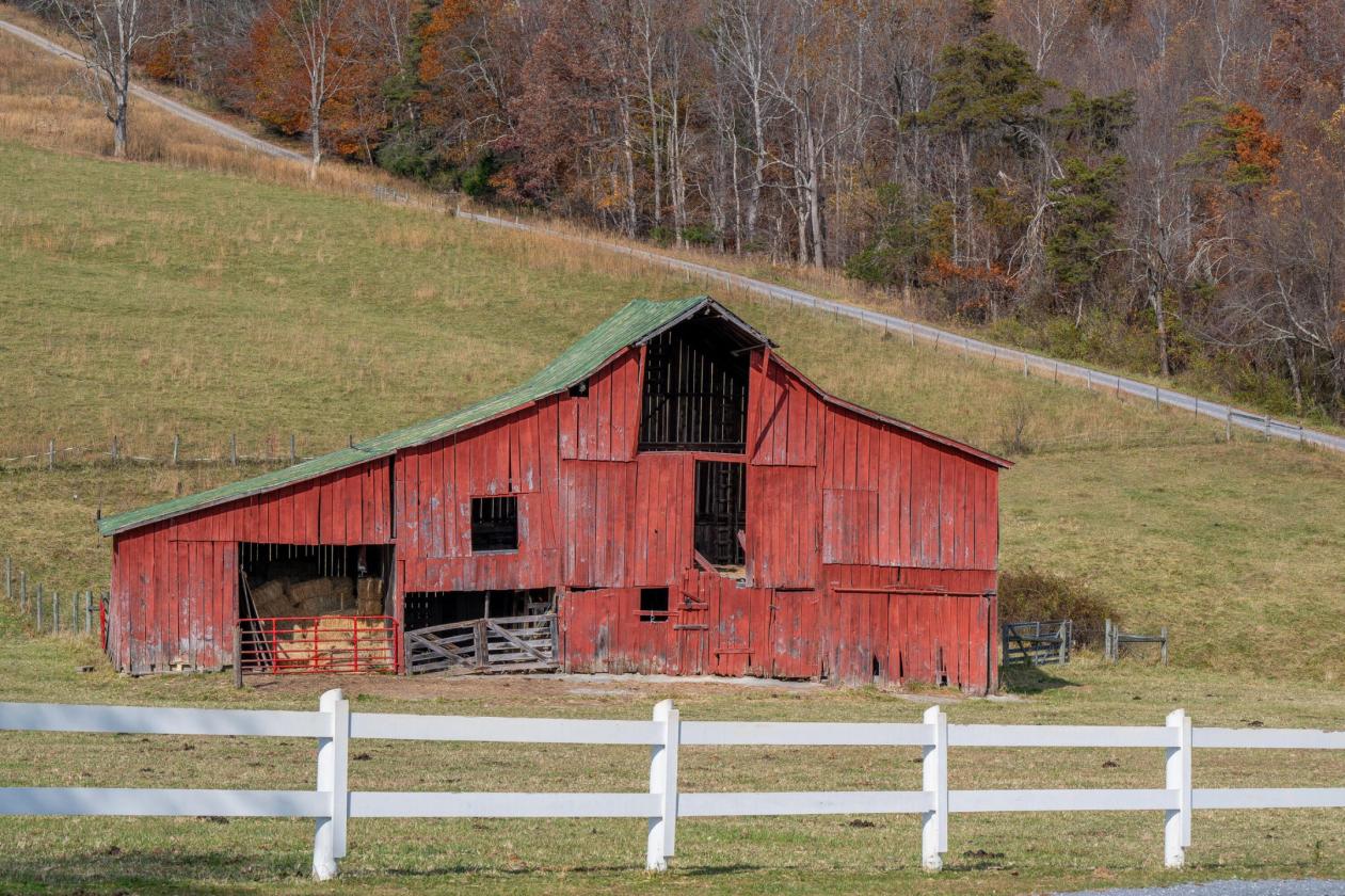Beautiful Horse Property on 16.13 Acres - photo 28