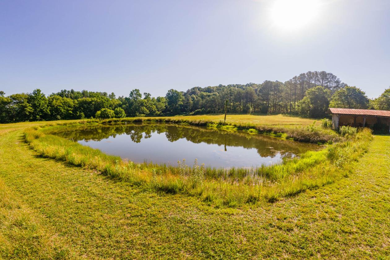 SCENIC BEAUTIFUL FARM - photo 13