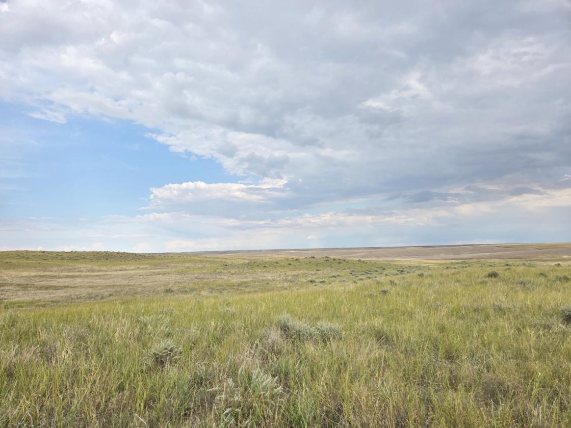 UP TO 80 ACRES AVAILABLE - photo 2