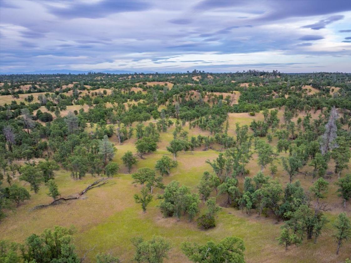 480 Acre Litte Crane Creek Ranch - photo 9