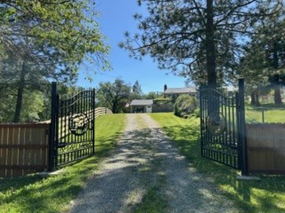 Country Living with Horse Potential - photo 24