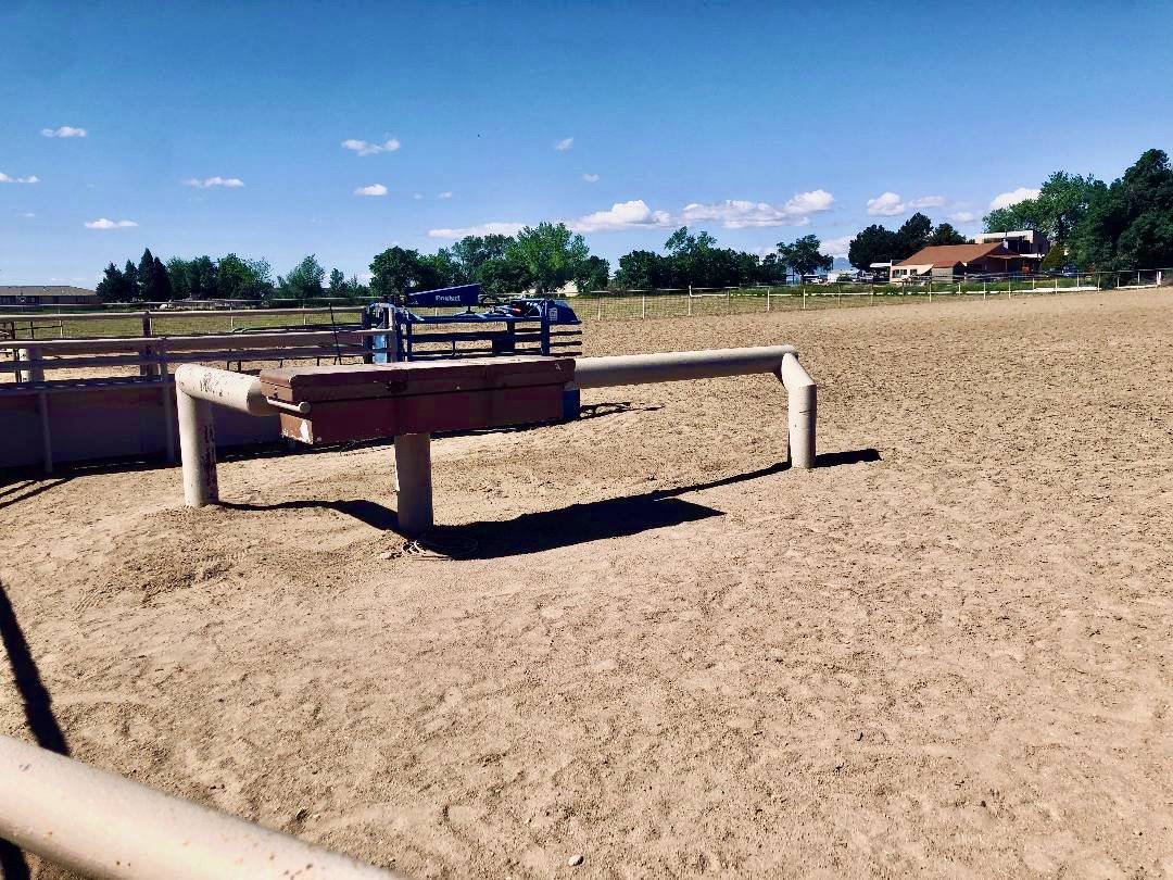 FANTASTIC HORSE PROPERTY IN THE BANANA BELT OF COLORADO! Pueblo