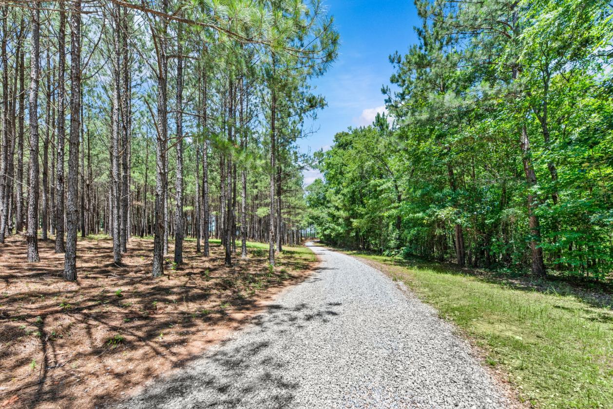 Luxury Equestrian Estate - 96 Acres - photo 26